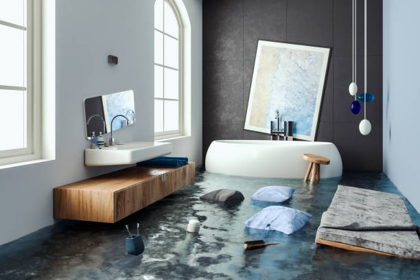 Best Flood restoration services  in Princeton, IL