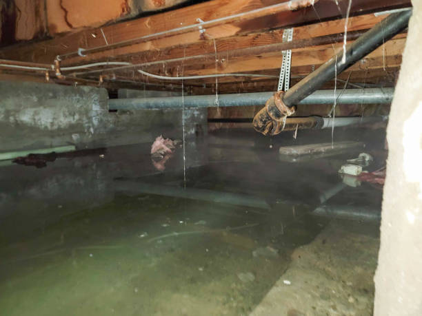 Best Sewage cleanup and water damage restoration  in Princeton, IL