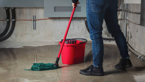 Best Water damage contractors near me  in Princeton, IL