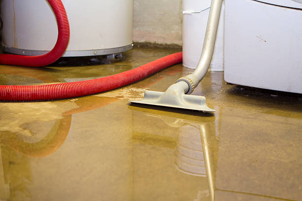 Water damage restoration insurance claims in Princeton, IL