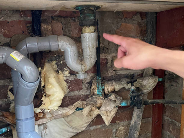 Best Water damage restoration experts  in Princeton, IL