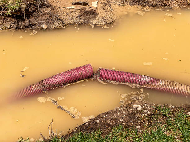 Reliable Princeton, IL Water damage restoration Solutions