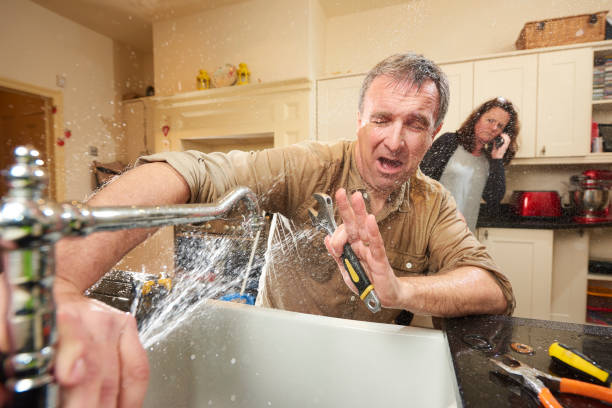 Best Water damage cleanup near me  in Princeton, IL